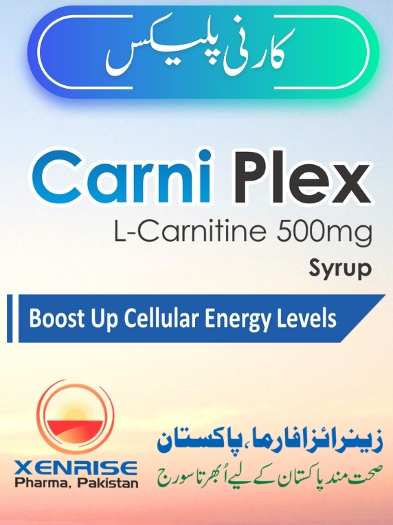 Carni Plex Syrup (100% Organic Energy & Stamina Booster Nutritional Supplement) - Image 4