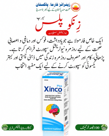 XINCO PLUS