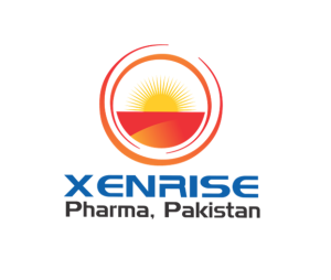 xenrise logo png 1